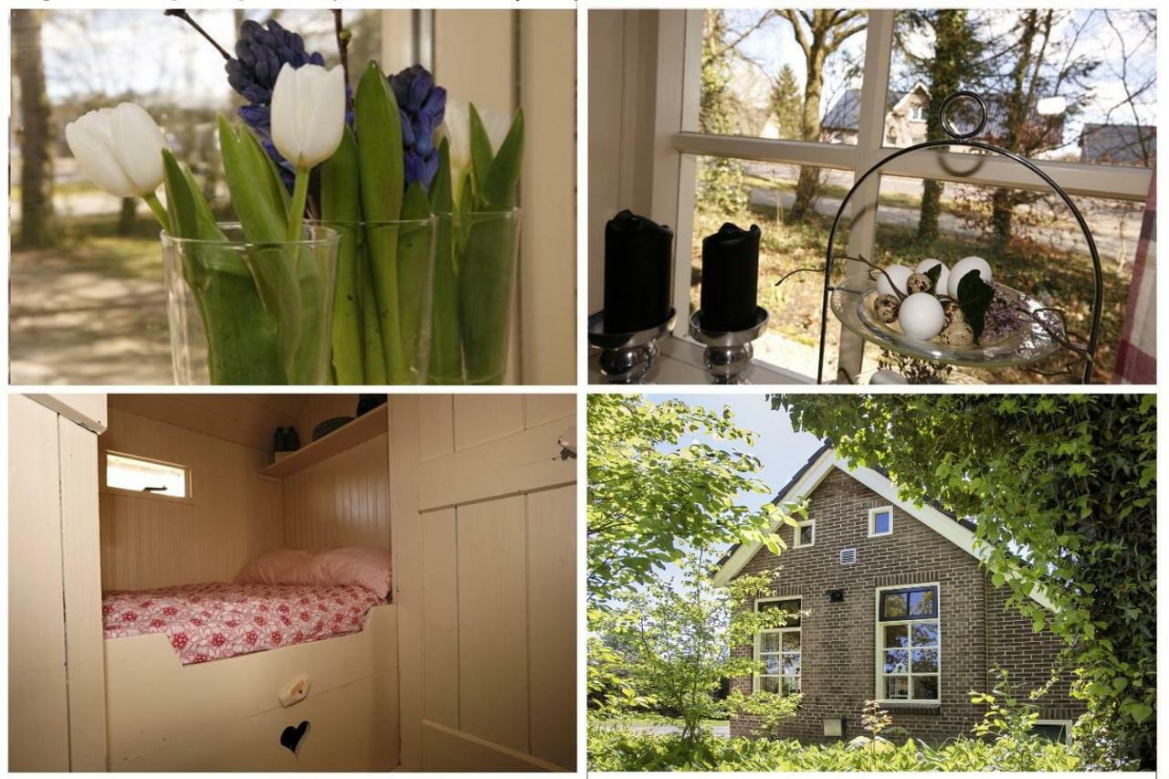 Ferienhaus Lasca Schoonoord